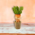 16" Flocked Orange Carrots in Pot
