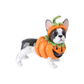 Halloween Carnival - 17" Resin Halloween Costume Pumpkin Frenchie Dog
