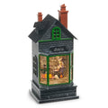 Halloween Carnival - 10.5" Spooky Witch in Lighted Haunted Water Apothecary