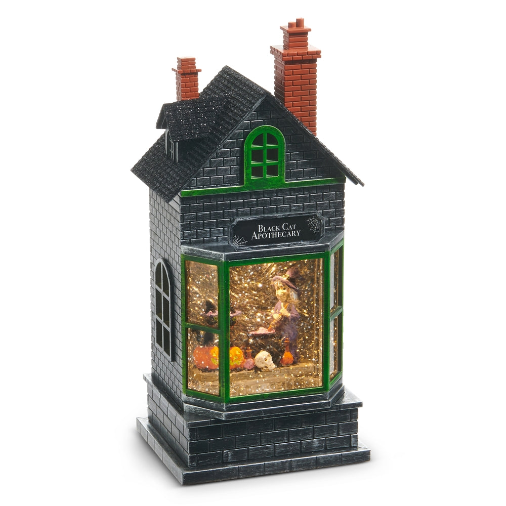 Halloween Carnival - 10.5" Spooky Witch in Lighted Haunted Water Apothecary