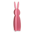 28" - 3D Bunny