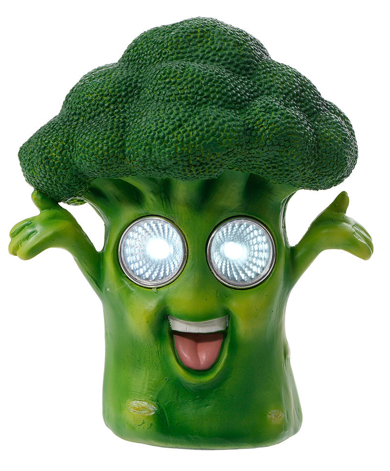 6" SOLAR BROCOLLI