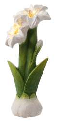 26.5" LED LILY