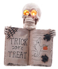 17" Glow Skull With Book