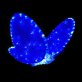 14" BLUE BUTTERFLY - 64LED