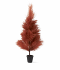 3 Foot Rust Pampas Grass Tree