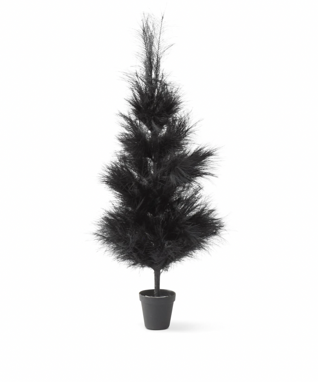 3 Foot Black Pampas Grass Tree