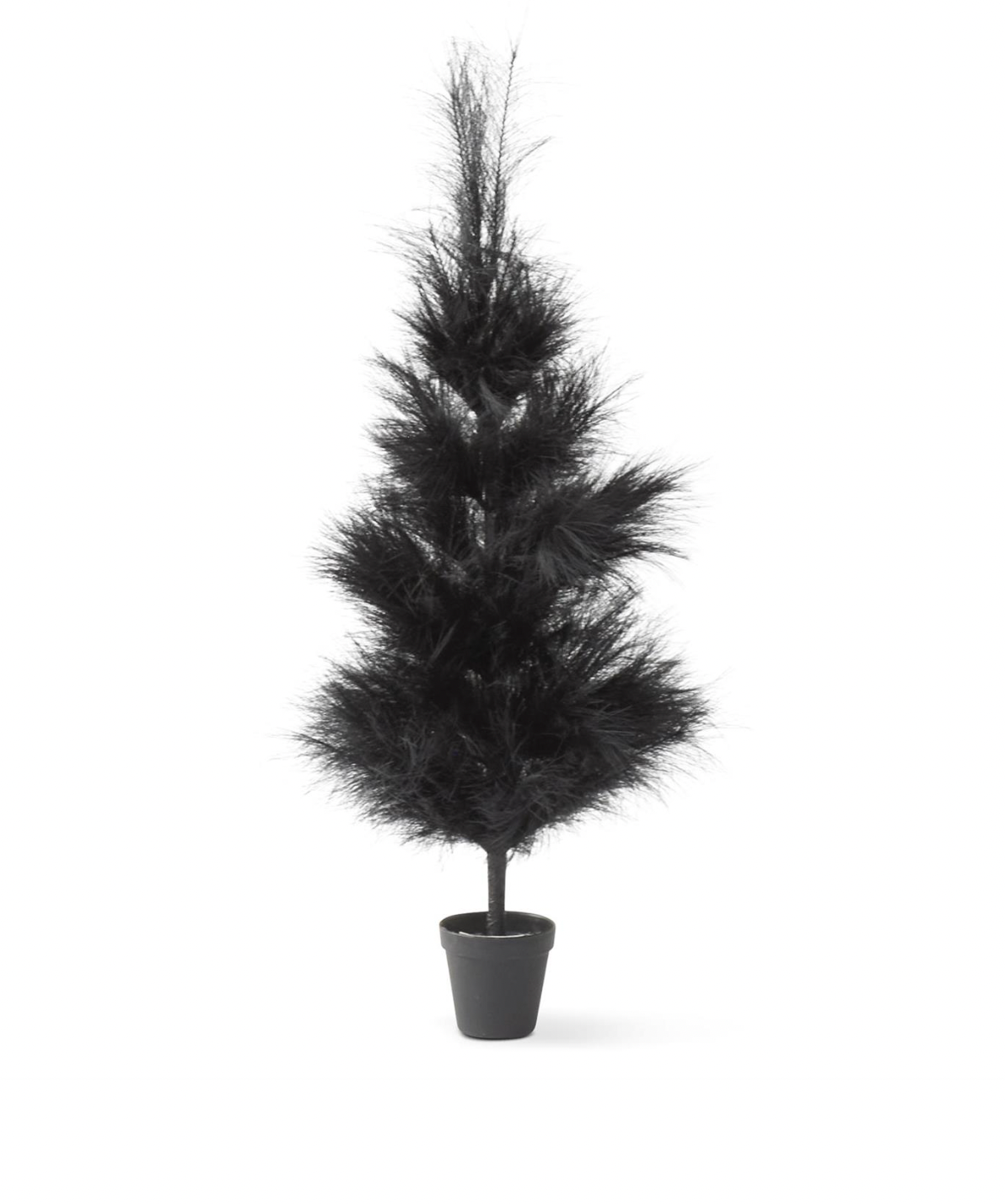 3 Foot Black Pampas Grass Tree