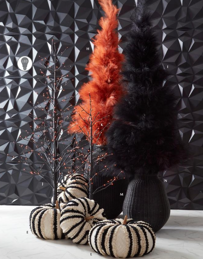 5 Foot Black Pampas Grass Tree