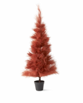 5 Foot Rust Pampas Grass Tree