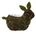 9.5" GREEN AND NATURAL ANGELVINE & MOSS RABBIT PLANTER