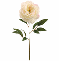 29" Cream Peony Spray