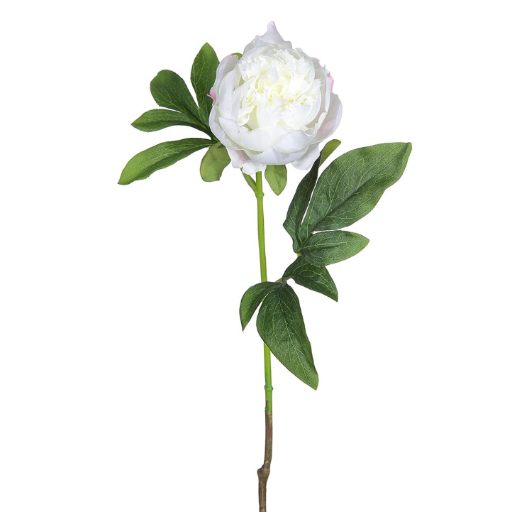 22" White Peony Spray