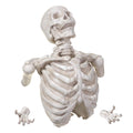 21.5" 3D Wall Skeleton