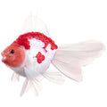 12" Goldfish Ornament