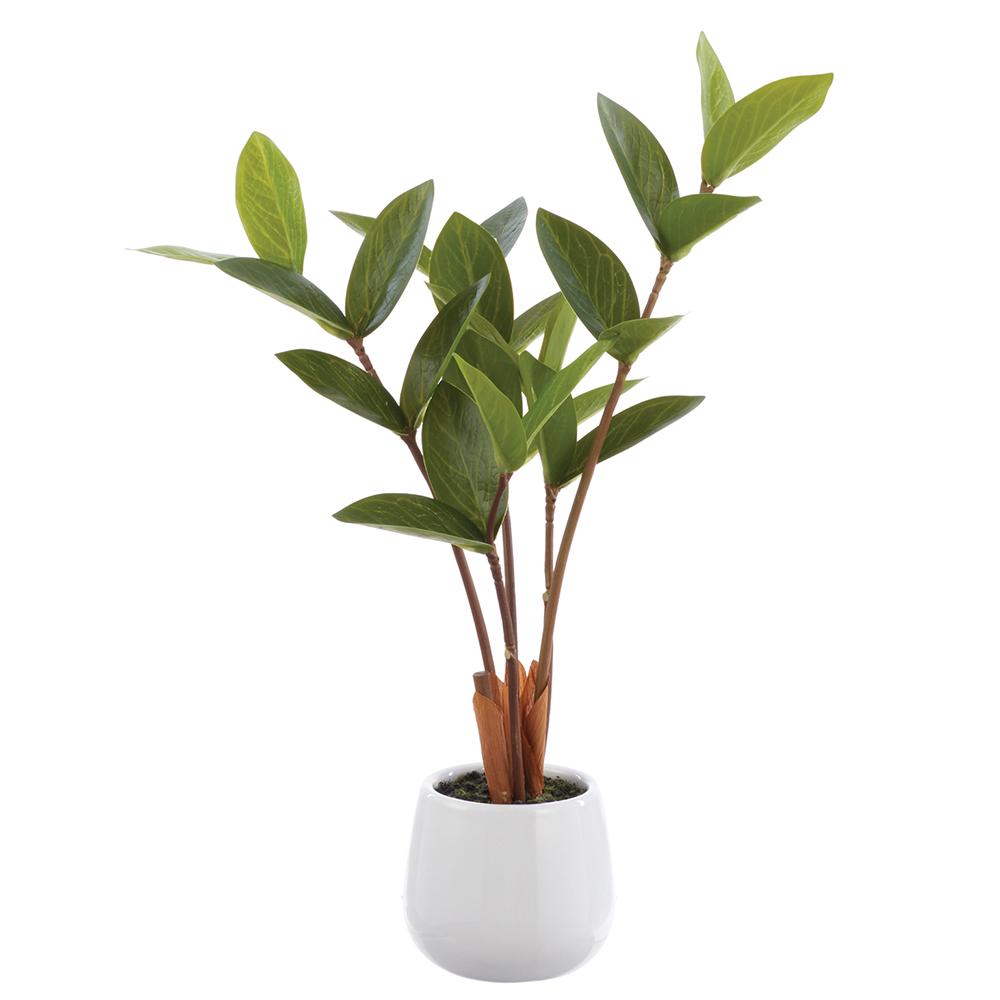 15" Faux Zamioculcas Plant in Ceramic Vase