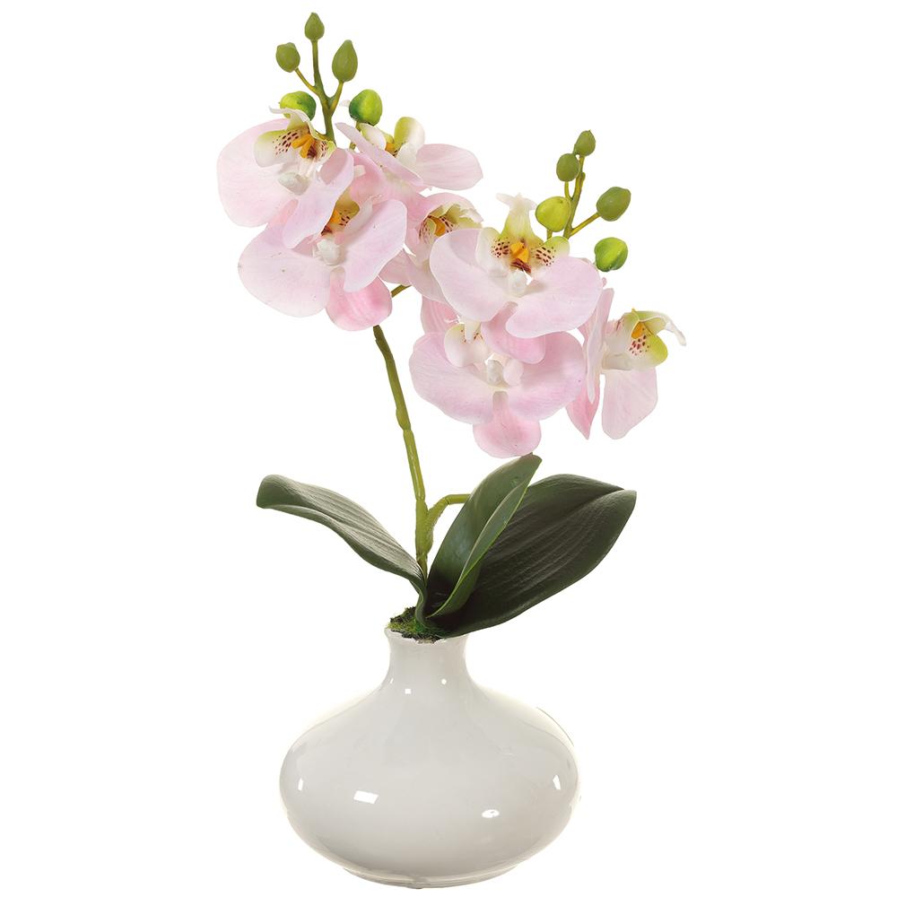 12" Faux Phalaenopsis Orchid Plant in Ceramic Vase