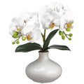 12" Faux Phalaenopsis White Orchid Plant in Ceramic Vase