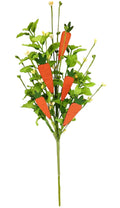 20" CARROT SPRAY